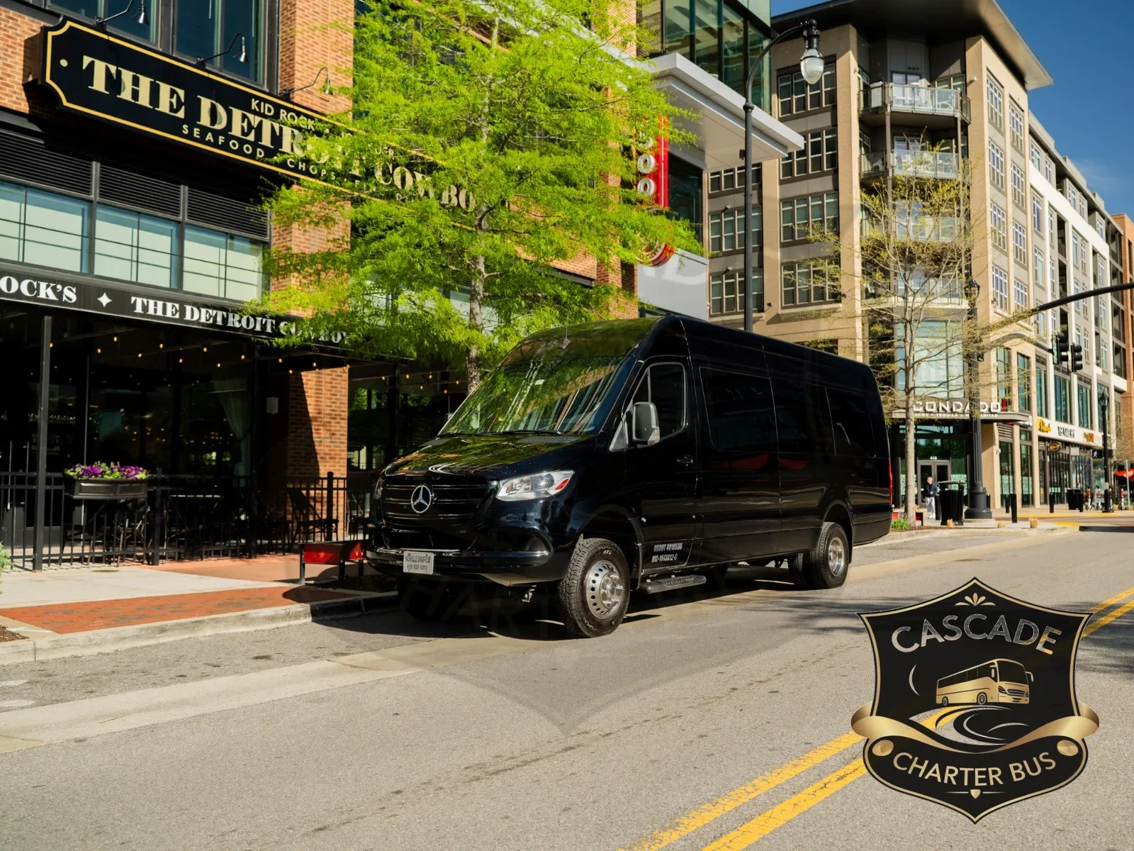 Executive Limo Bus