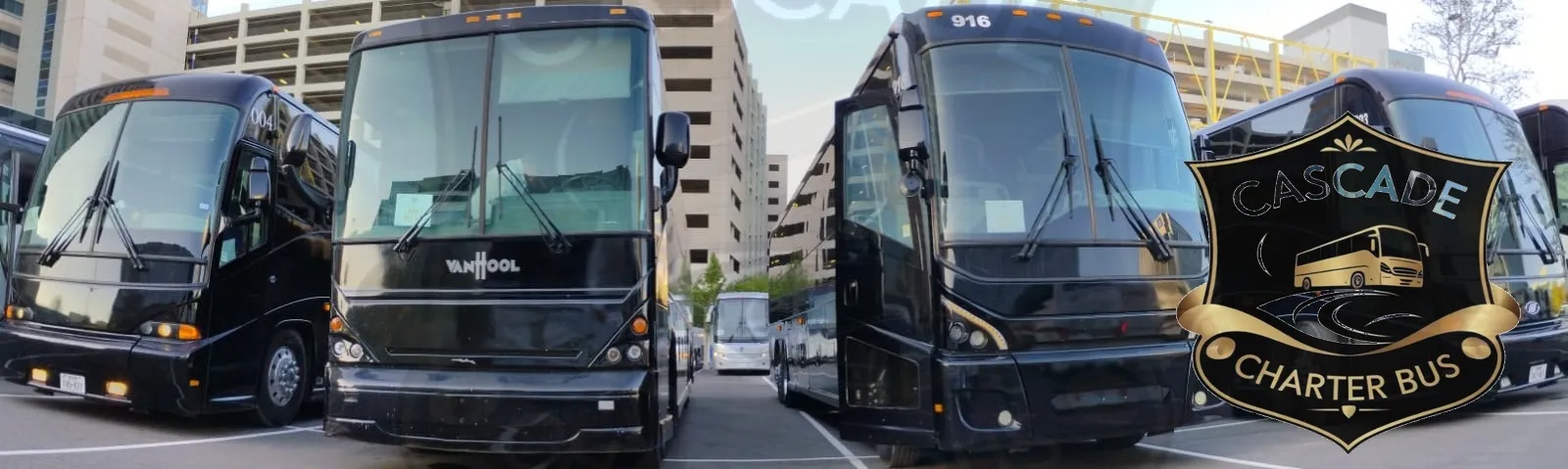 56-Passenger Luxury Motorcoach